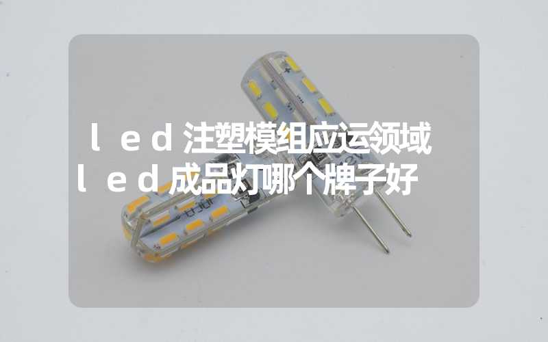 led注塑模组应运领域 led成品灯哪个牌子好